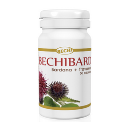 BechiBARD